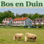 Bos en Duin Bos en Duin